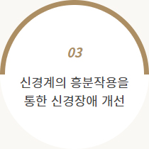 봉독의 효능